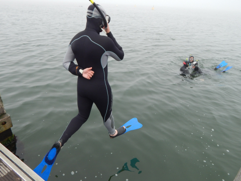 coga-activite-plonge