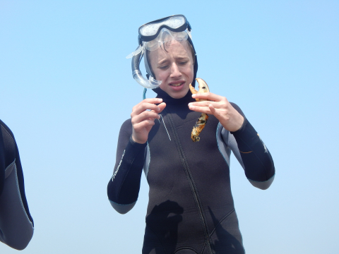 coga-activite-plonge