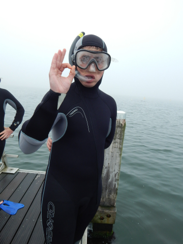 coga-activite-plonge