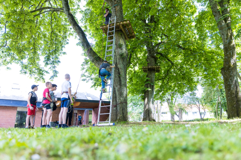 Activité sport acrobranche au Baucory