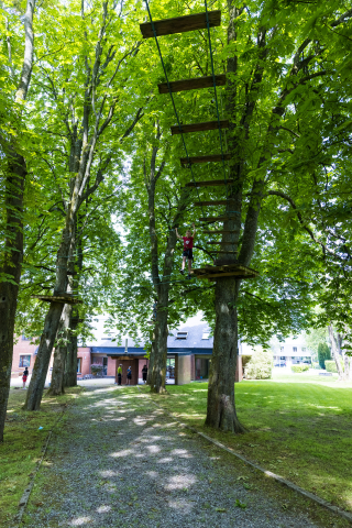 Activité sport acrobranche au Baucory