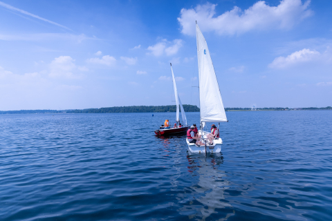 Activité bateau voile avec l'équipe du Coga au Lac de l'Eau d'Heure.