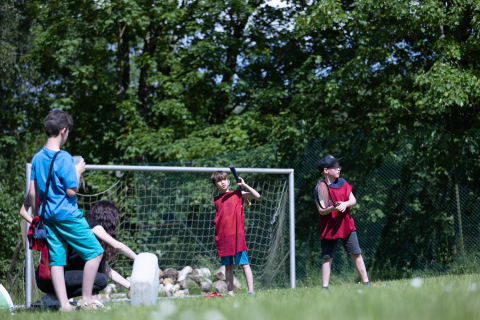 Multisport - baseball