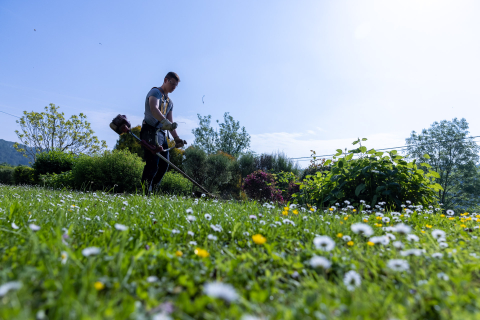 Chantier école jardin au Coga